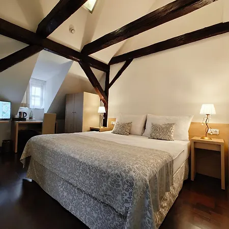 Hotell Little King U Malvaze Prag